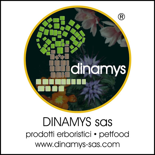 DINAMYS SAS - Visual