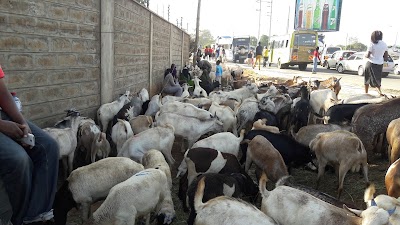 Photos of BAYER EAST AFRICA LTD