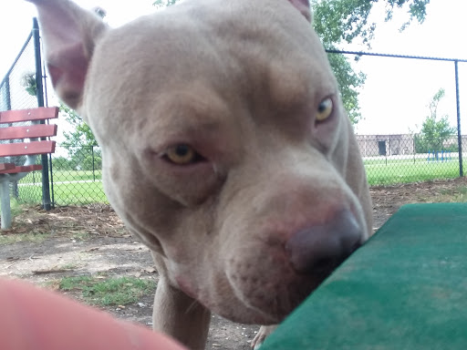 Texas City Dog Park - Thumbnail