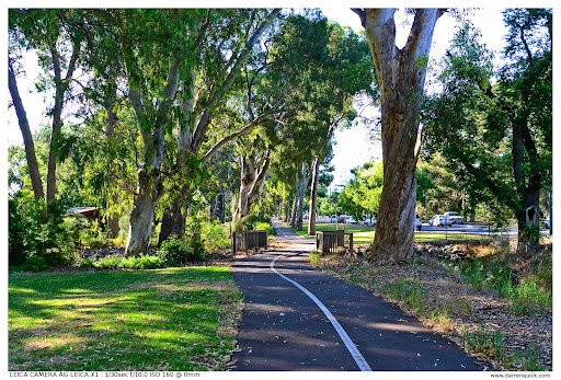 Adelaide Parklands (Park 19)