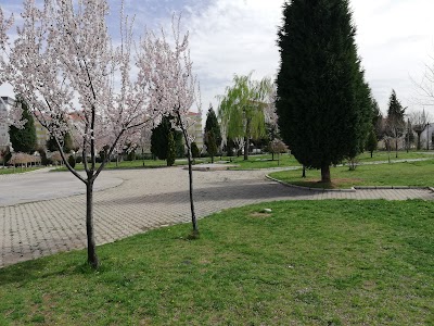 Basketball court