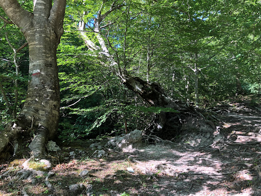 Parcheggio Fiumata - Sorgenti dell'Aniene - Thumbnail