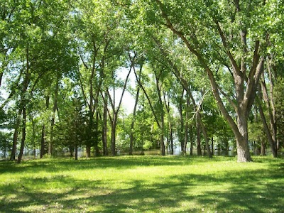 Shady Bay Campground