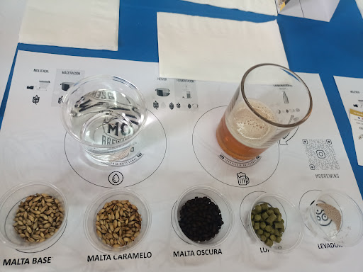 Mo Brewing - Visual