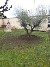 Photo n°13 de Campana Paysages à Montagny-lès-Beaune (Paysagiste)