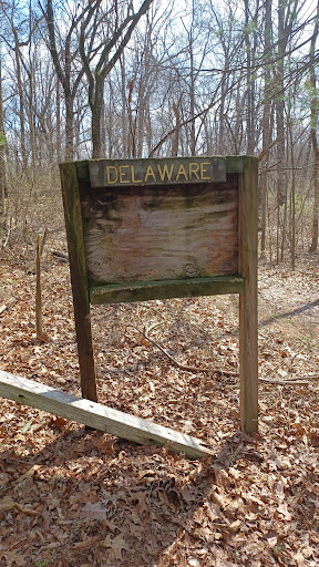 Delaware Field - Thumbnail