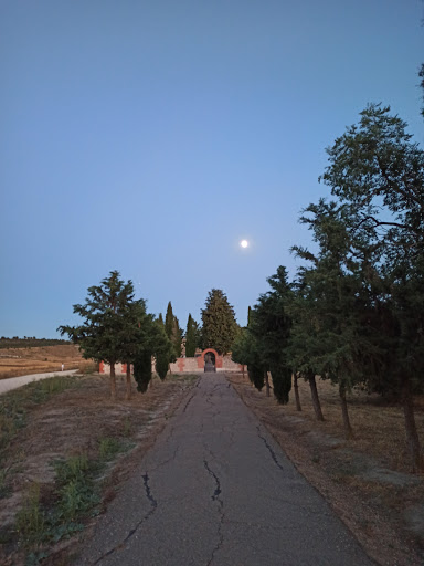 Cementerio de Piña de Esgueva - Thumbnail