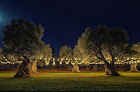 Anticalama Colonial Resort & Villas à  Pezze di Greco