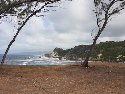 Photos of Cove Bay