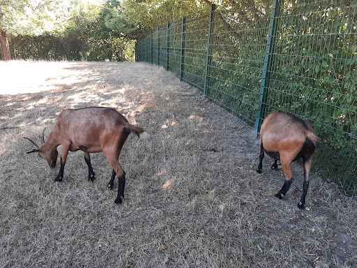 Photo de Domaine du Bas de Chêne à Saint-Sernin-du-Bois (71200)