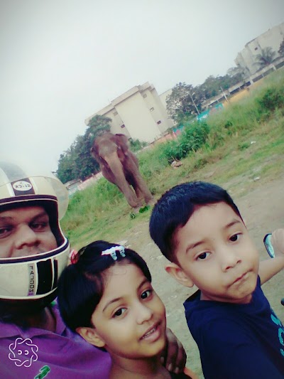 park