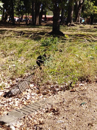 Photos of Los Mangos Park