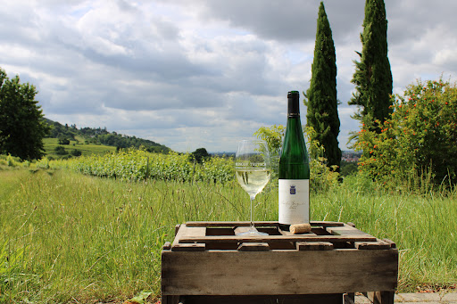 weinblick - Visual