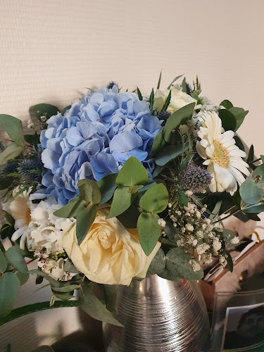 Commentaires et avis sur Les Fleurs Du Lion