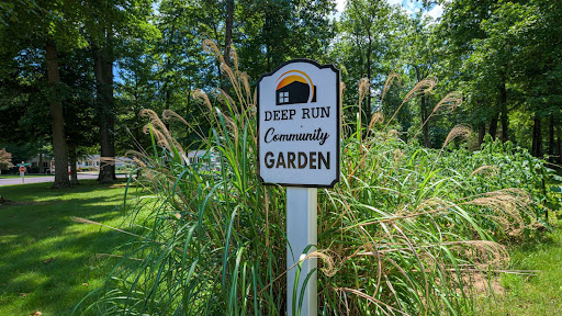 Deep Run - Visual