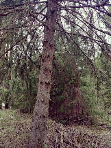 Västmanlands Läns Mittpunkt - Thumbnail
