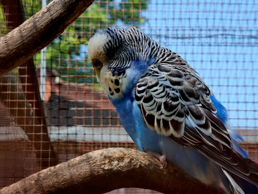 Kleintierzoo Ravensburg - Thumbnail