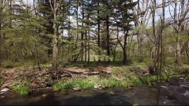 NONE cafe 軽井沢（のねかふぇ）