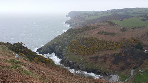 The Dingle - Thumbnail