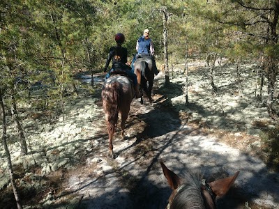 Fern Camp Cascade