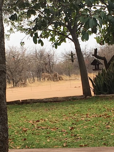Photos of Corea Game Ranch