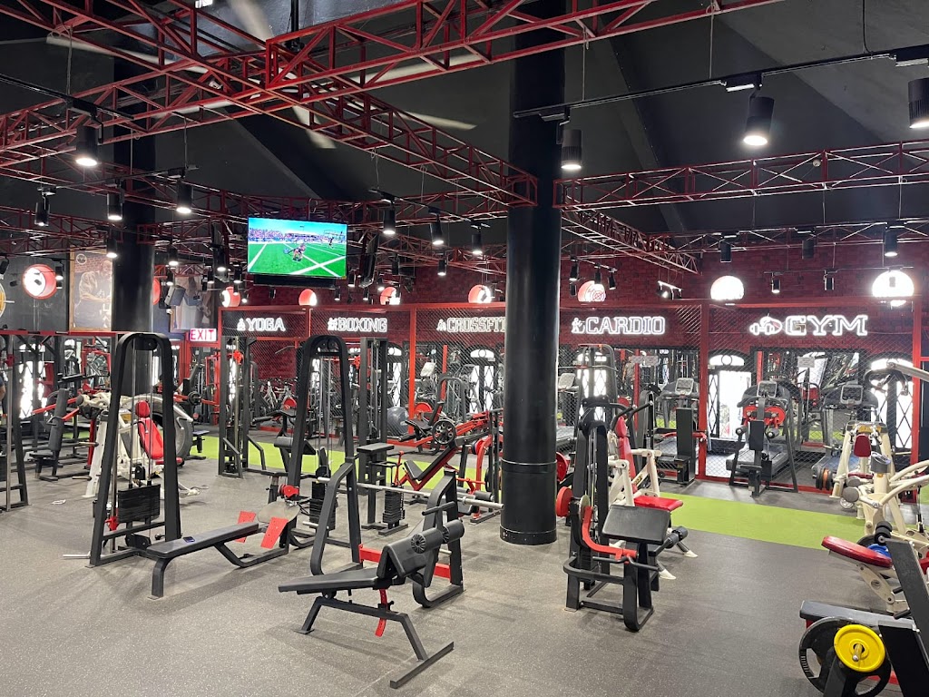 Iron Paradise Best Gym In Mira Road Fitness Center Mumbai