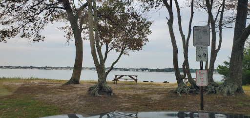 Cozy Cove Marina - Thumbnail