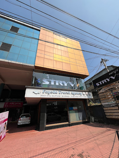 STRYV | The Active Zone