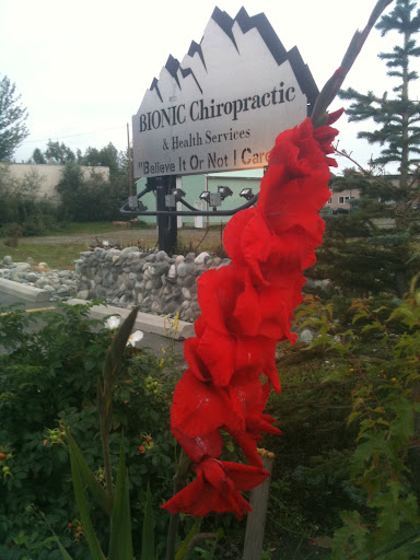 Bionic Chiropractic - Visual