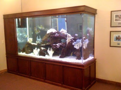 Advanced Aquarium Services