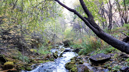 Malibu Campground Gallery - United States