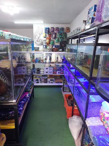 Acuario RICHSU - Thumbnail