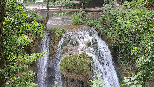 Opinii despre Bigăr Spring în Poneasca - Agenție de turism