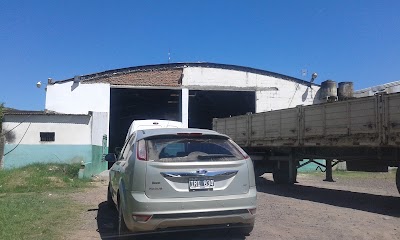 Photos of Carro's SA