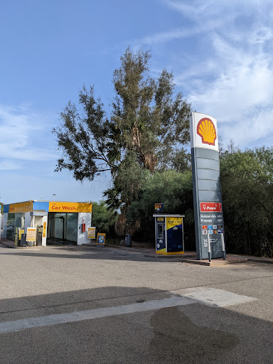 SHELL CABO PINO - Visual