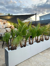 Photo n°19 de La Marina Lounge - Restaurant Plan de Campagne à Les Pennes-Mirabeau (Brasserie)