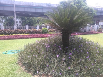 Photos of Hledan Park