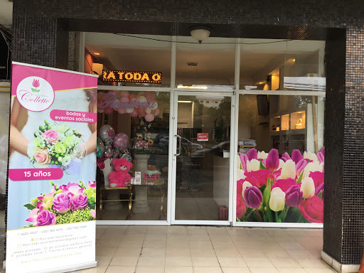 Floristeria Collette