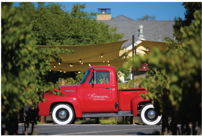 Benessere Vineyards by null