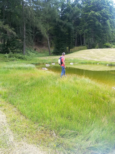 Malga del Mont Alt - Thumbnail