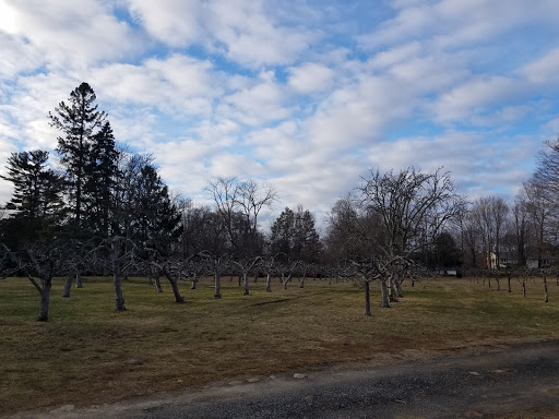 Abraham Nichols Park - Thumbnail