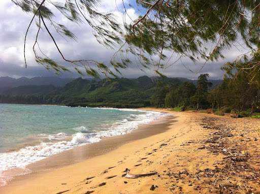 Donna's Detours - Private Tours of Oahu Off the Beaten Path Gallery - United States