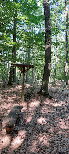 Waldfriedhof Eichenhain