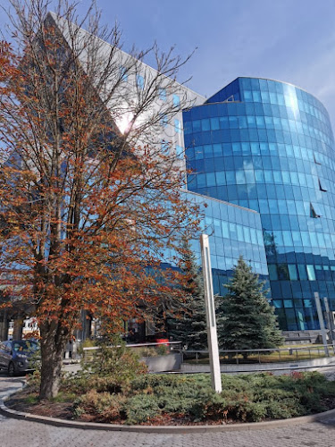 Klinika stomatologiczna Malo Clinic Polska - Stomatolog