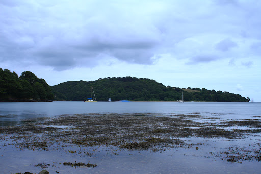 Trelissick - Visual