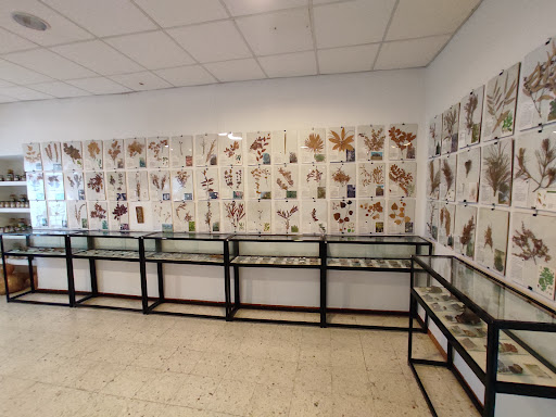 Museo de Ciencias Naturales AVAN (Viso del Marqués) - Thumbnail