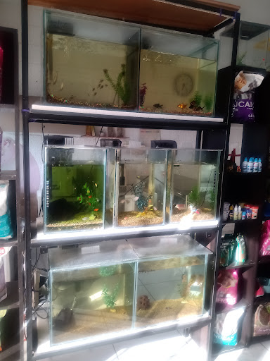 PRO-PET'S - Visual