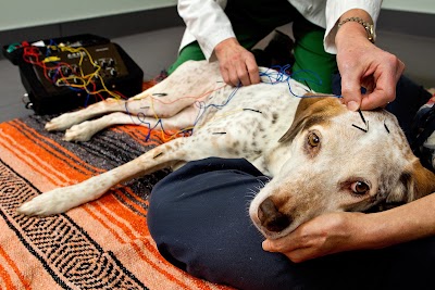 Photos of Lake Cross Veterinary Hospital