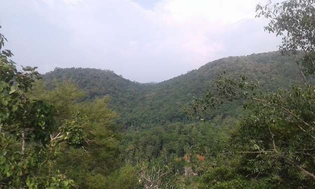 Navimana Forest Meditation Centre, Author: Venarable Sumangala