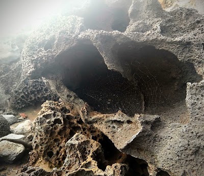 Nakalele Blowhole